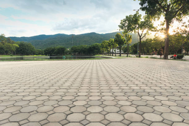 Best Local Driveway Pavers  in Stone Ridge, VA