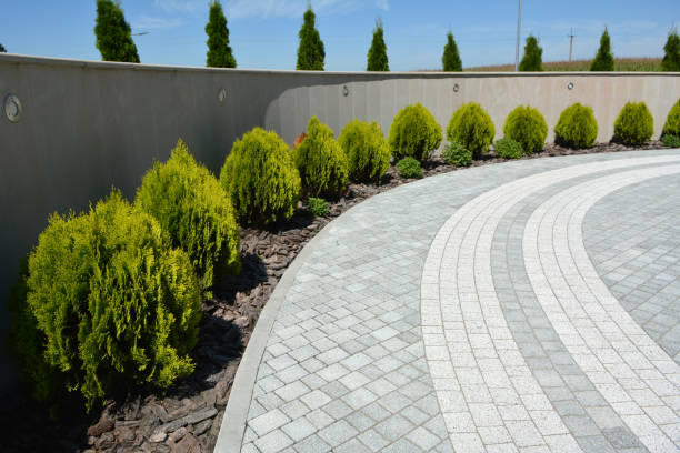 Best Professional Driveway Pavers  in Stone Ridge, VA